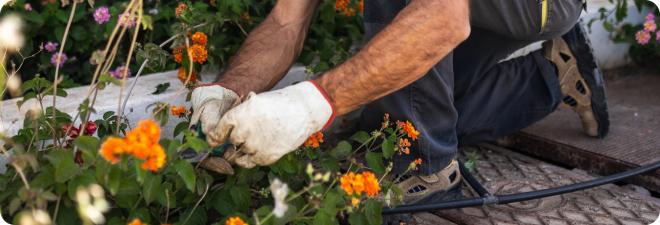 Person working in a garden.